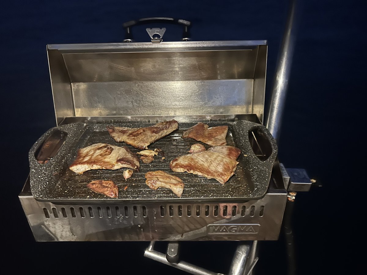 Arrival in the beautiful island of Martinique after a catamaran cruise