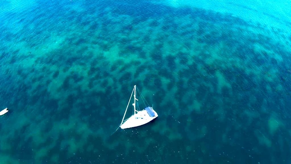 Segelboot - Bénéteau - Oceanis 393