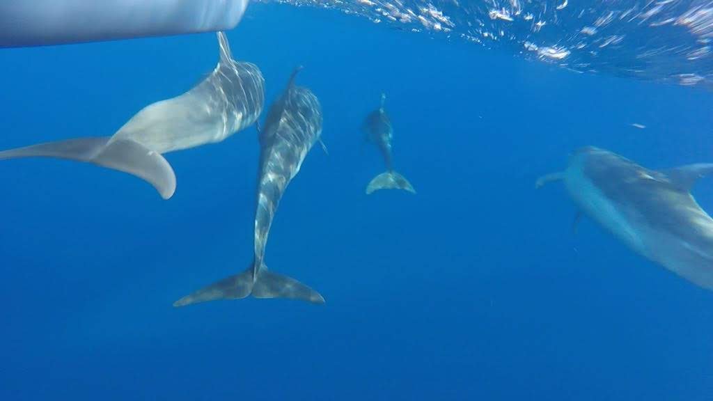 Explora la navegación en el mar con RYA en Cerdeña