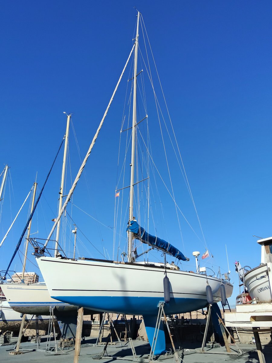 Barca a vela - Belliure - 6 persone