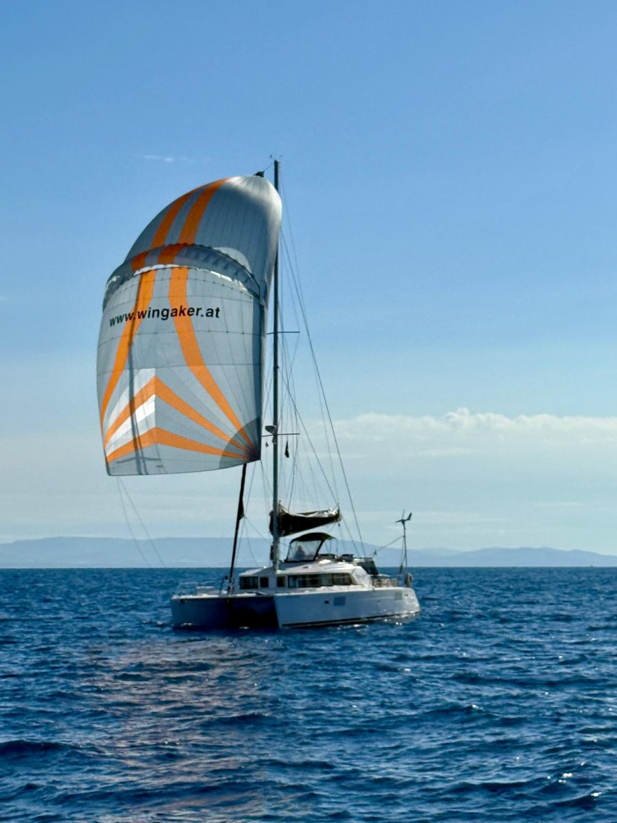 Catamaran - Lagoon - 4 cabins