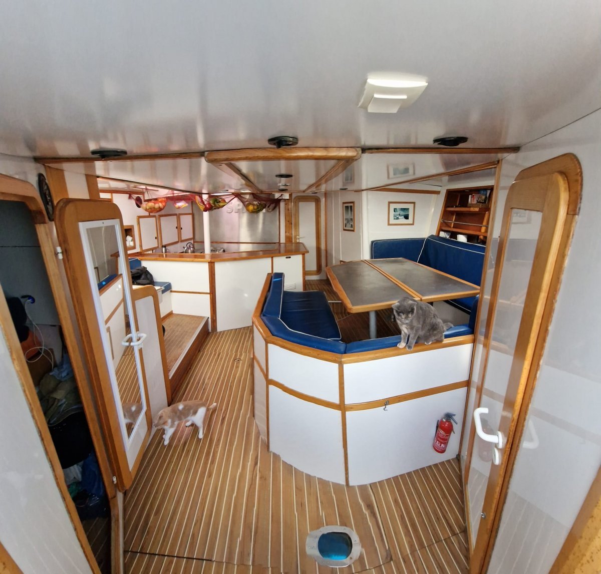 Viaje en barco a través del Pacífico y el Canal de Panamá a las Islas Galápagos