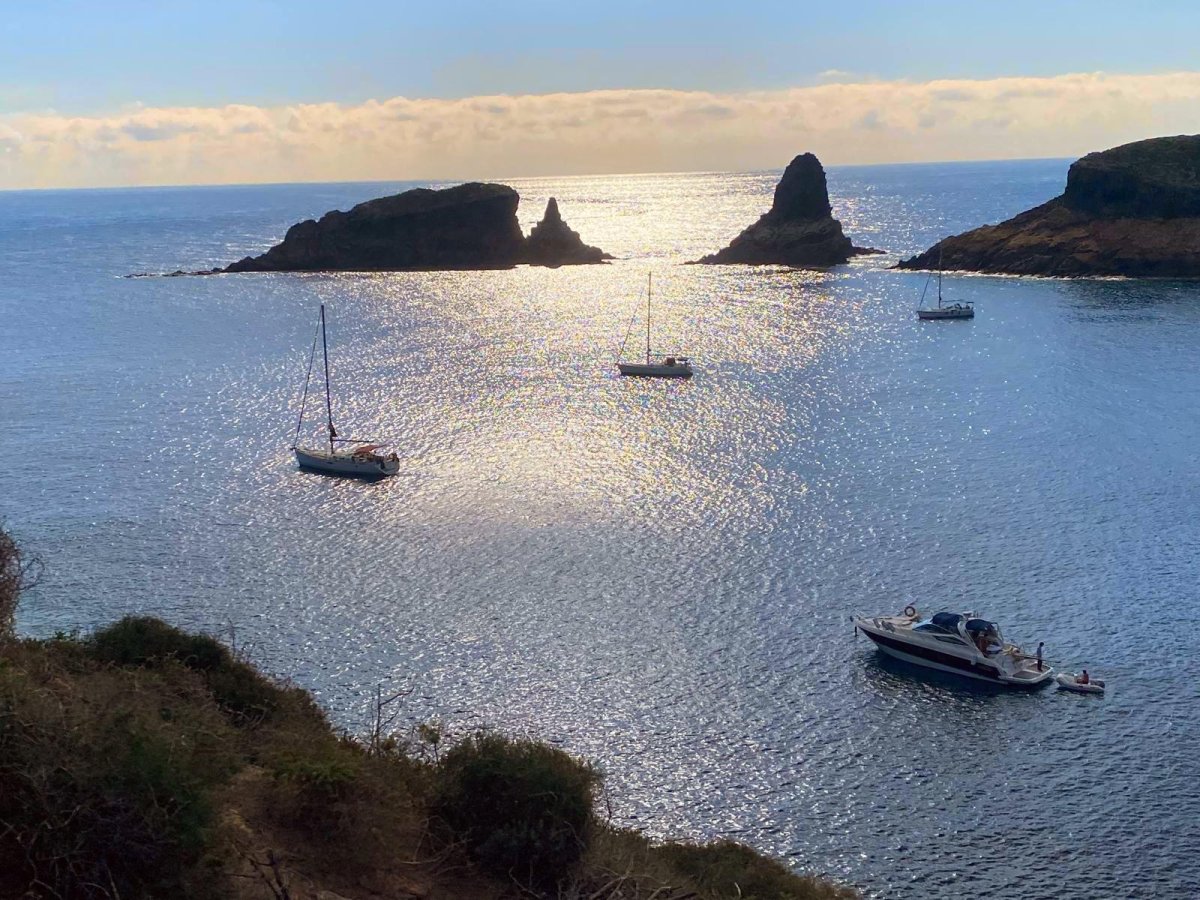 Navigation certification experience on a boat from Valencia