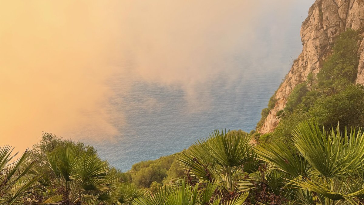 Viaje de ida desde Cartagena a Gibraltar
