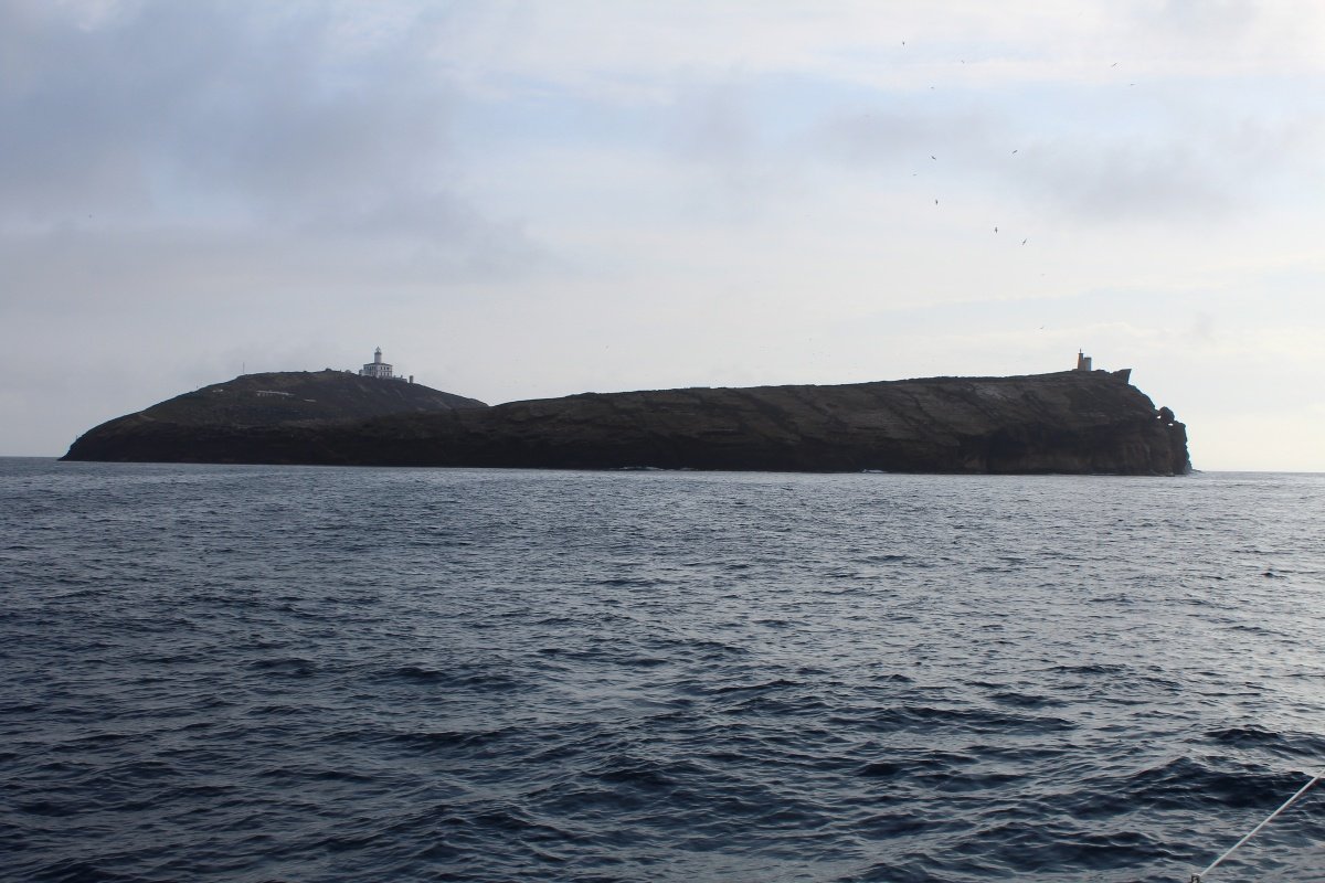 Segelkurs in Valencia um das Meer zu genießen