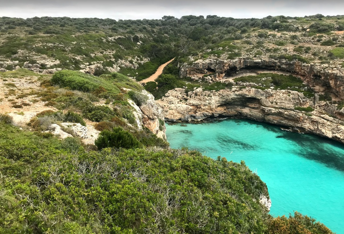 Velero - Cata - 8 personas