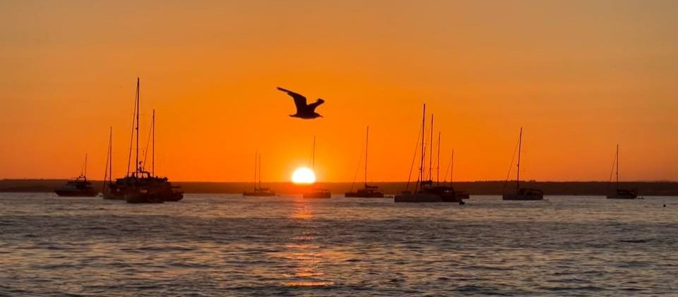 Explore the Balearic Islands on a boat trip from Mallorca to Menorca, with a stop at Cabrera