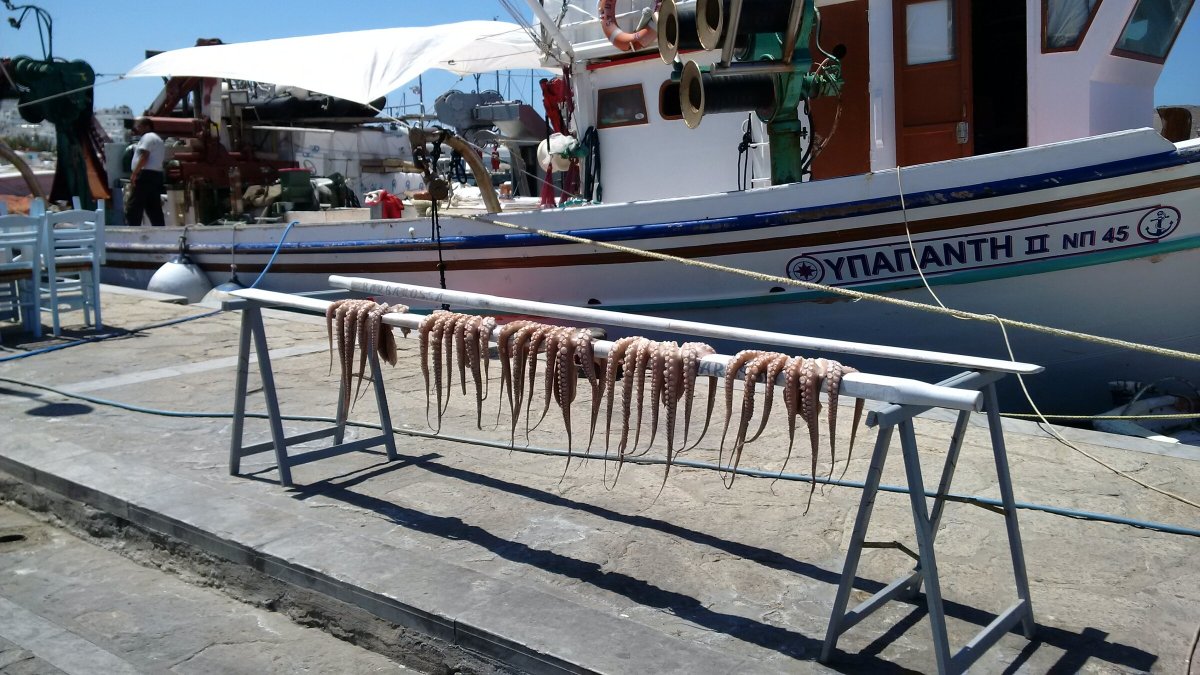 Mittwochs-Flottille-Kreuzfahrt in den mittleren Kykladen mit 2 Katamaran