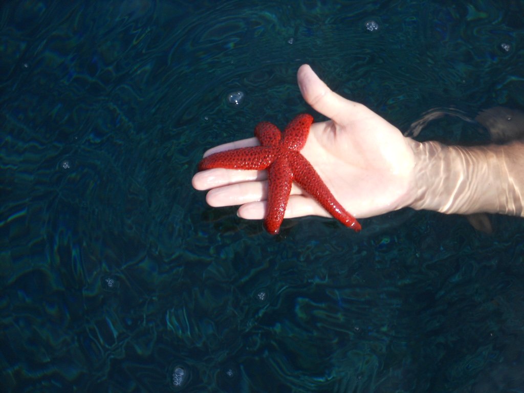 Entdecken Sie Korsika mit dem Segeln