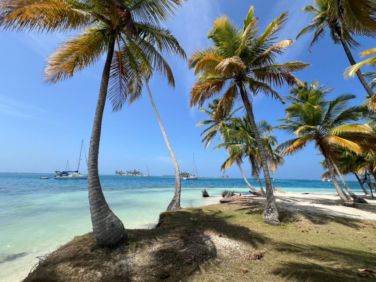 Beginner's sailing course