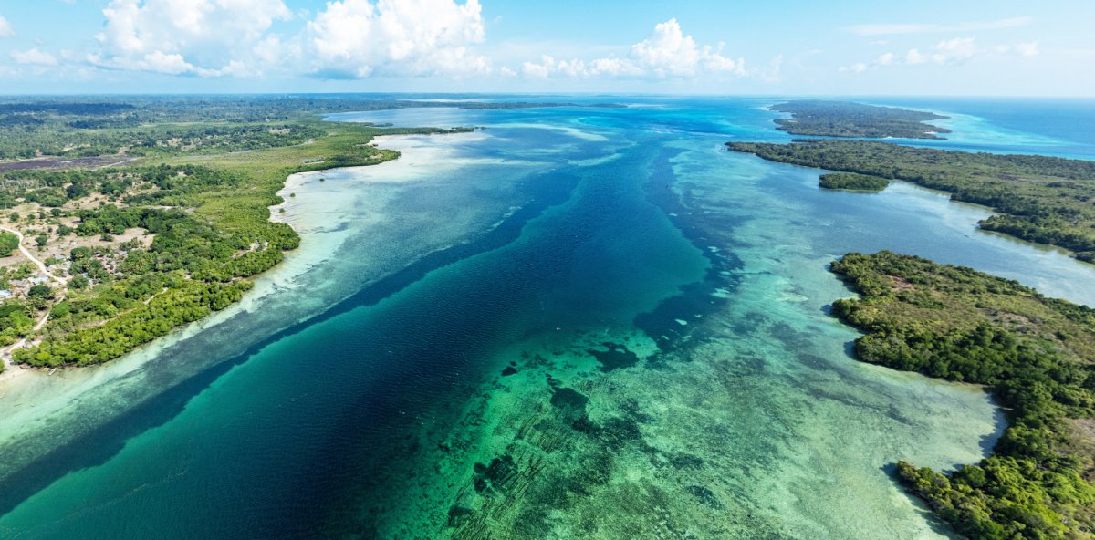 Catamaran Voyage through the Crystal Waters of Zanzibar and Pemba