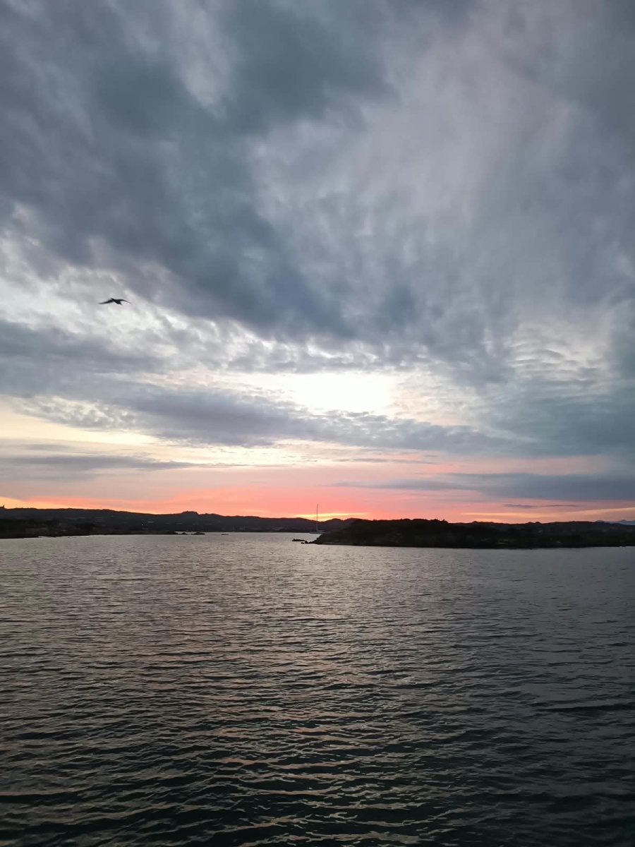 Descubre Roma desde el mar