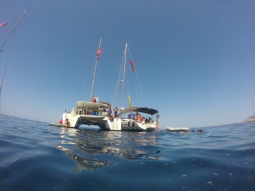 ¡Novedad 2026! Flotilla en Catamarán por Ibiza & Formentera, exclusiva solteros