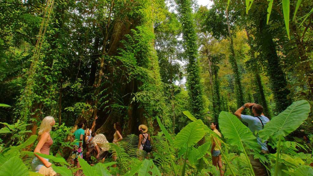 cruceros en velero tailandia