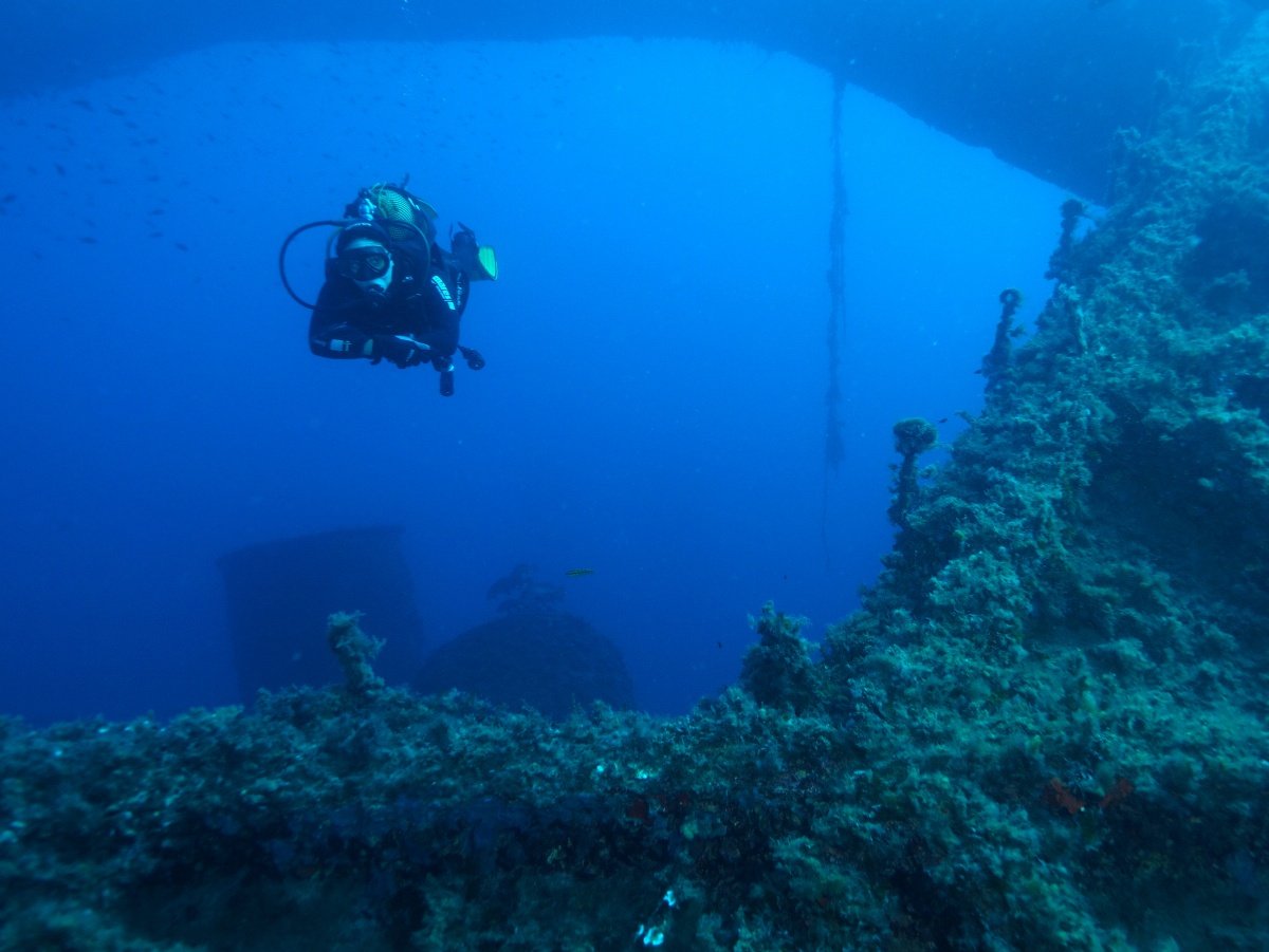 Boat trip for diving in Ibiza and Formentera