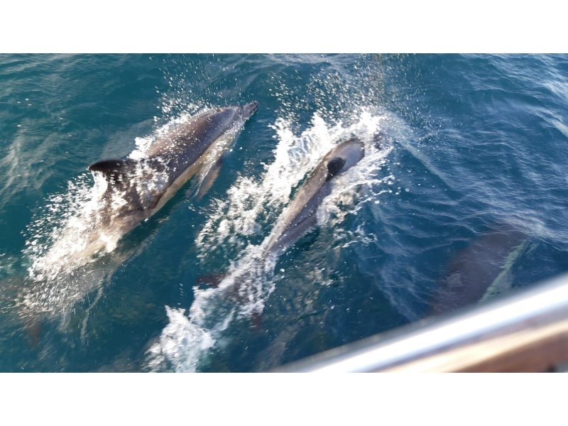 Viaggio in barca attraverso le Isole Atlantiche