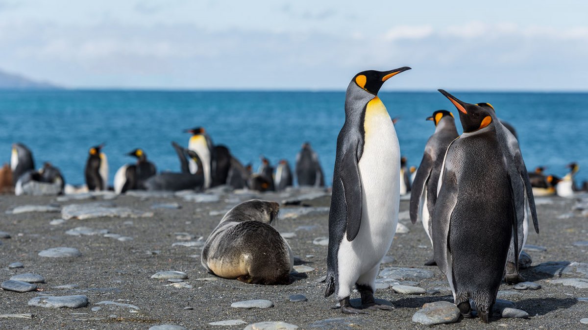 Holiday destination in Staten Island