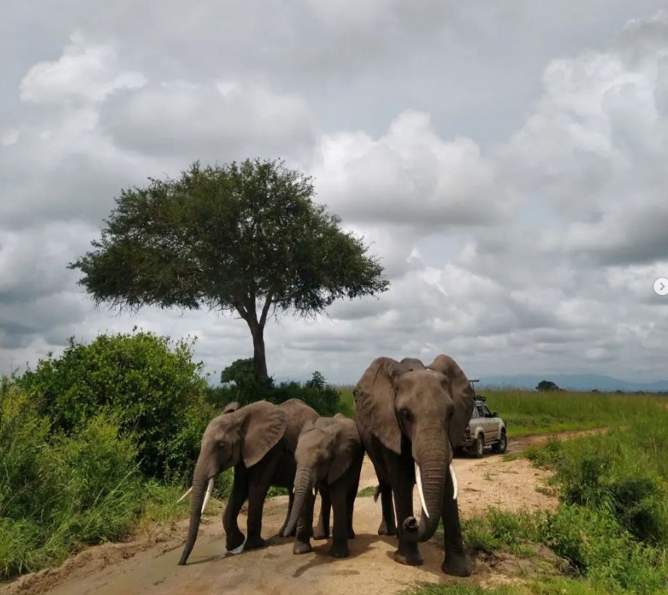 Zanzibar Katamarankabinenkreuzfahrt + Safari