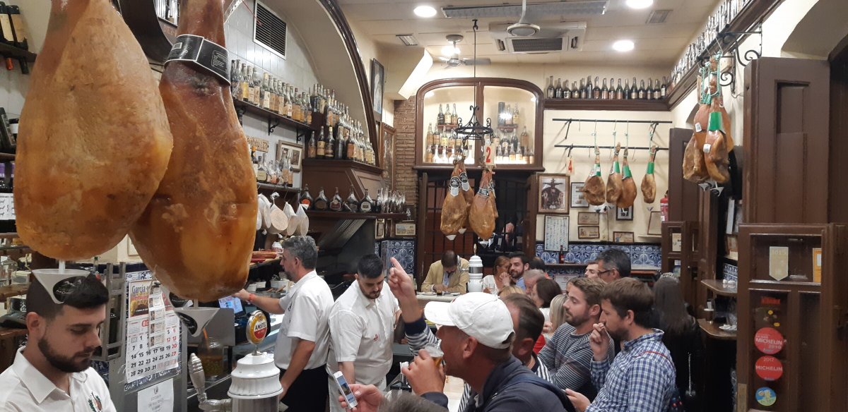 Corso di navigazione in alto mare: 8 giorni di scoperta!