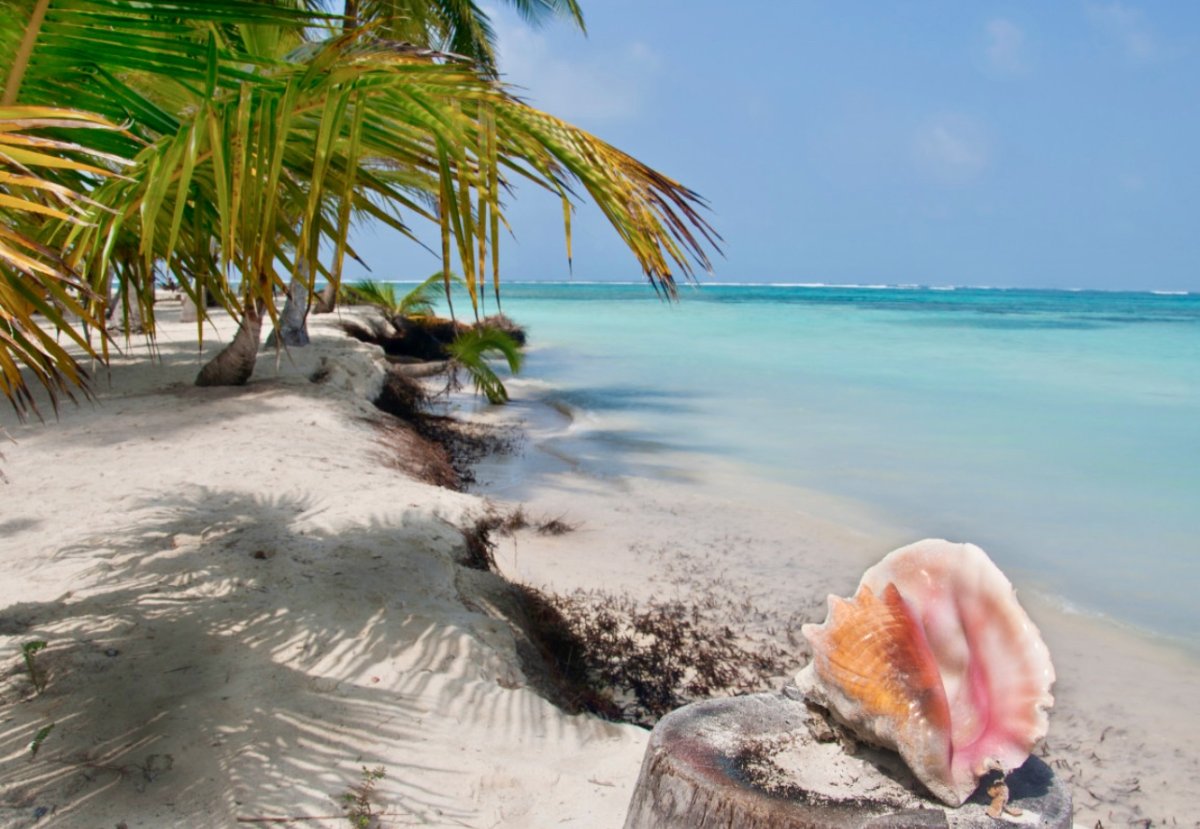 Tour in flotta di catamarani per il Caribe da Colombia e Panama