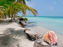 Excursión por el Caribe en flotilla de catamaranes desde Colombia y Panamá