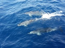 Navigazione alle Isole Canarie: da Tenerife a Lanzarote