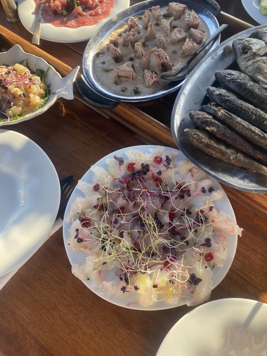 Skipper und Crew genießen einen Tag auf dem Meer