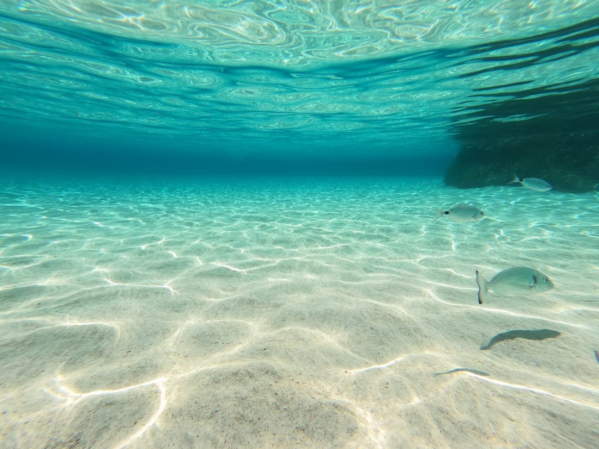 Bavaria Yachts - 4 {{i18n.cabins}}