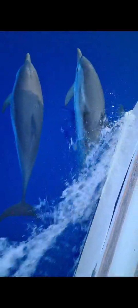 Gran Canaria Jachthafen