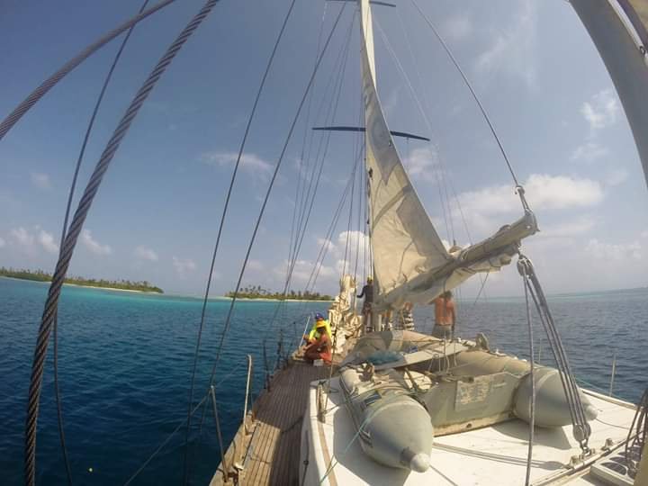 FB_IMG_1555782237494