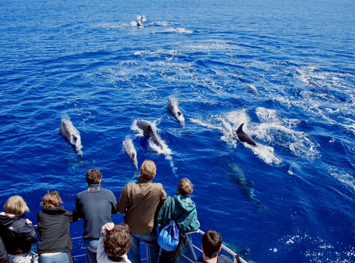 Navegando en catamarán por Macaronesia desde Cádiz a Madeira