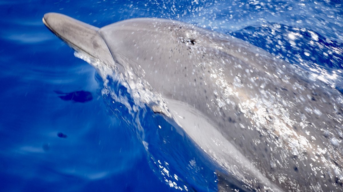 Entdecken Sie die Balearen zu Ostern
