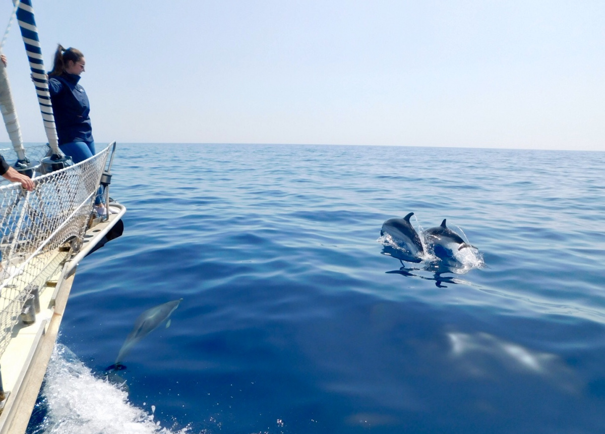 Vela en la Costa Catalana - Explora la costa catalana en barco