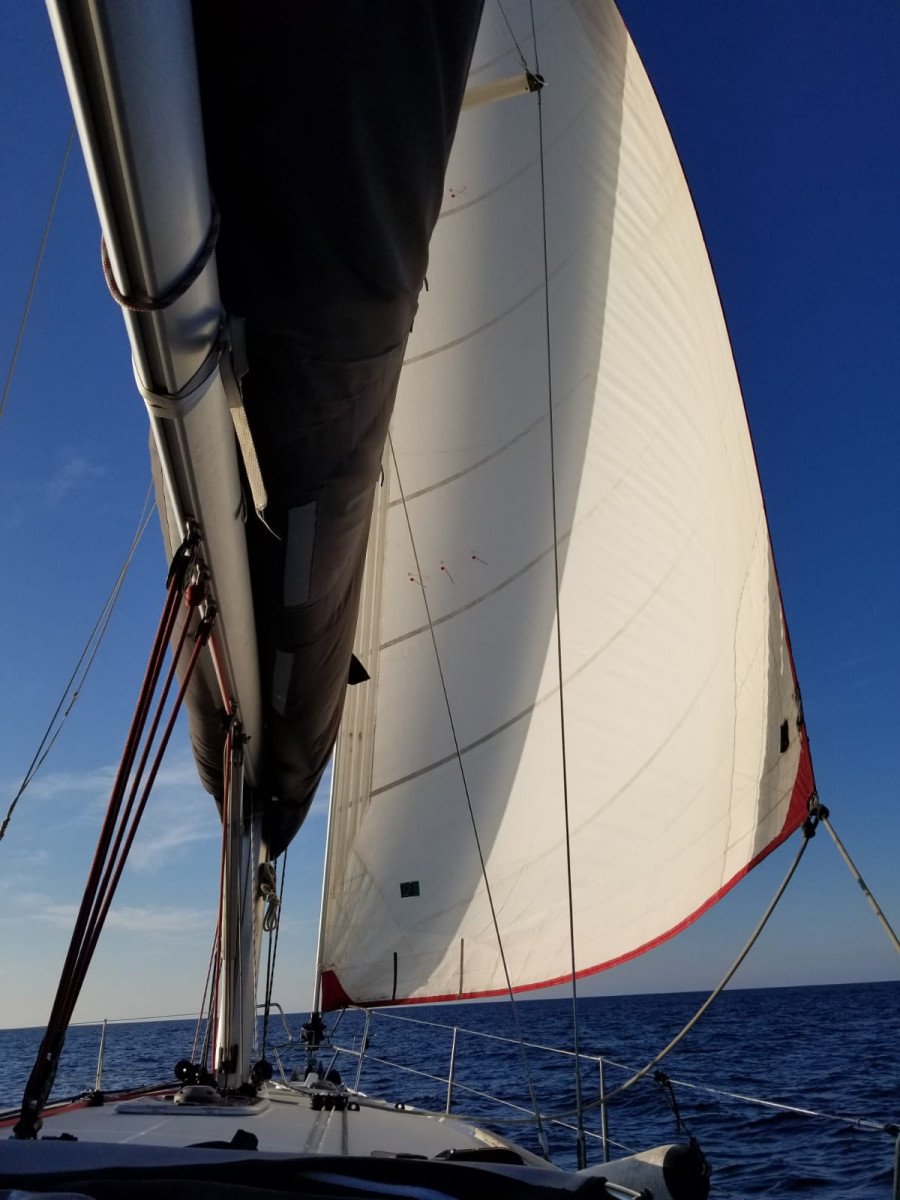 Explore Barcelona's coastline from a boat