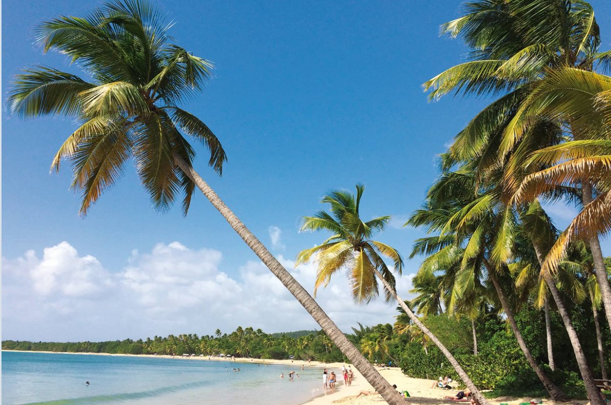 Set Sail on the Atlantic with ARC Rally