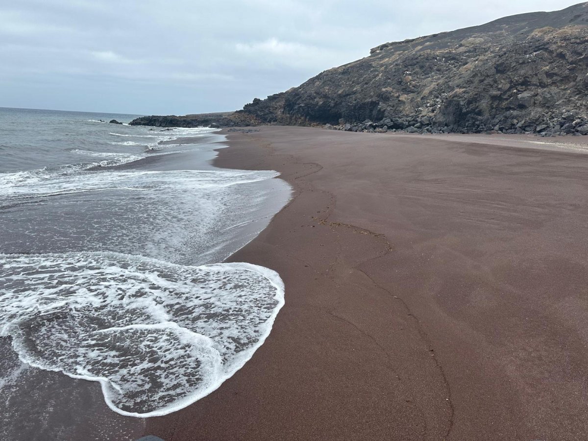 Esplora le isole della Macaronesia con un'escursione in catamarano