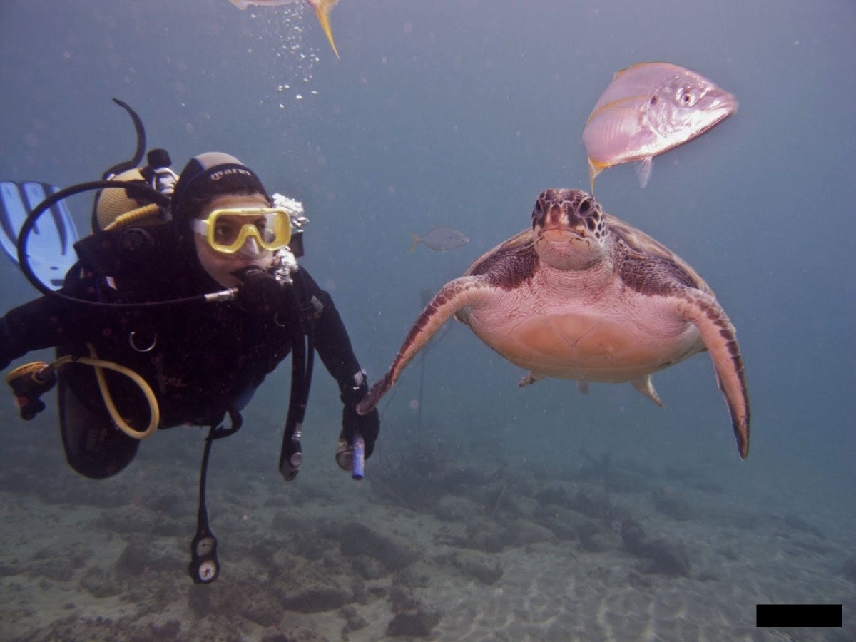 viajes-en-barco-tenerife-la-gomera_