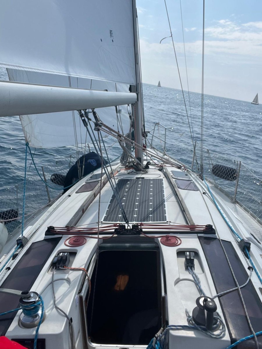 Großartiger Abschluss der sozialen Regatta des CN Vilanova