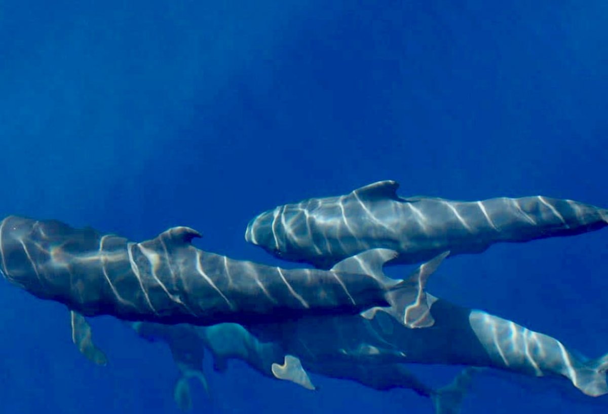 Da Cadice, navighiamo verso l'arcipelago delle Canarie