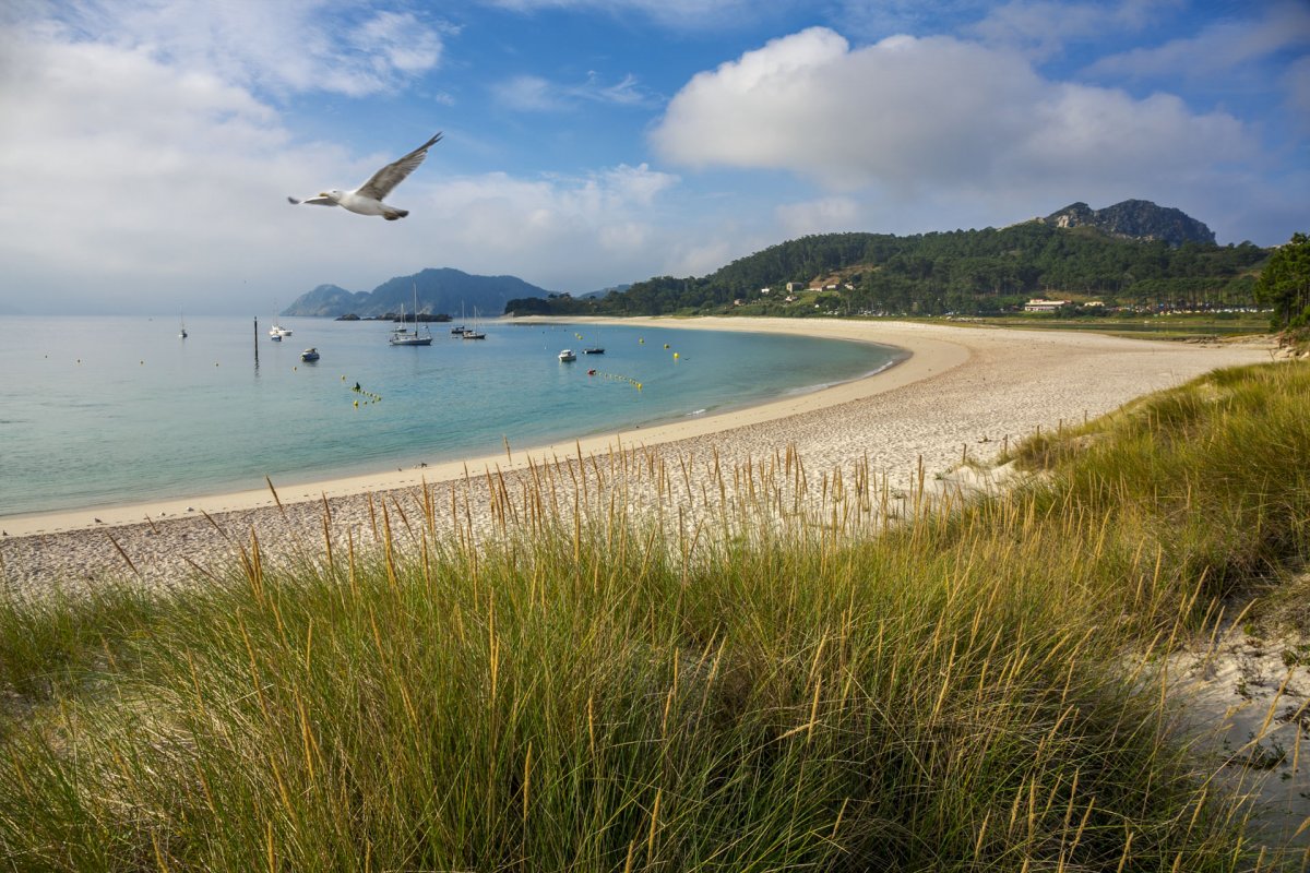 Sail the Camino de Santiago from Vigo