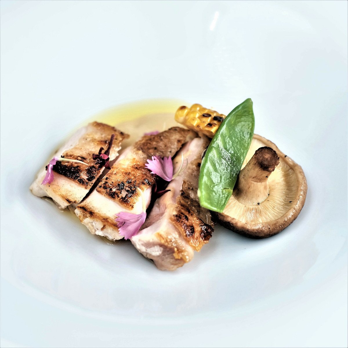 Viaggia in barca e scopri i segreti del Mar Mediterraneo