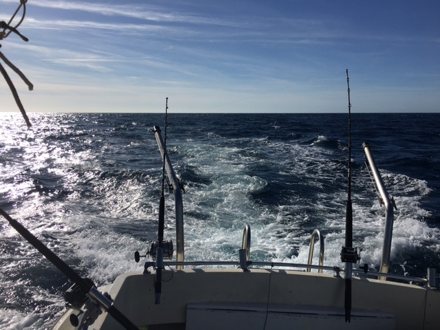 cruises in sailboat the rompido 