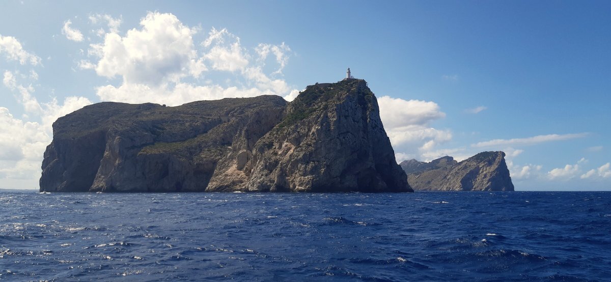 Offshore Sailing Course: 8 days with dolphins!