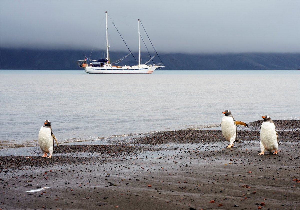 Antarktis-Segelreise - Hommage an Piloto Pardo