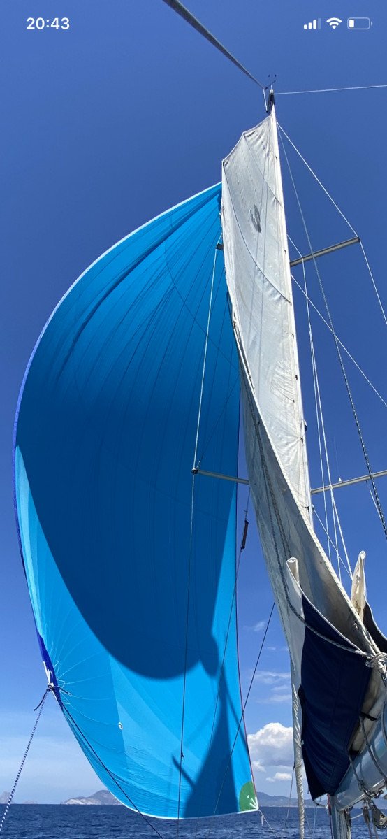 Sailing school in Denia: Improve your sailing skills with our experts