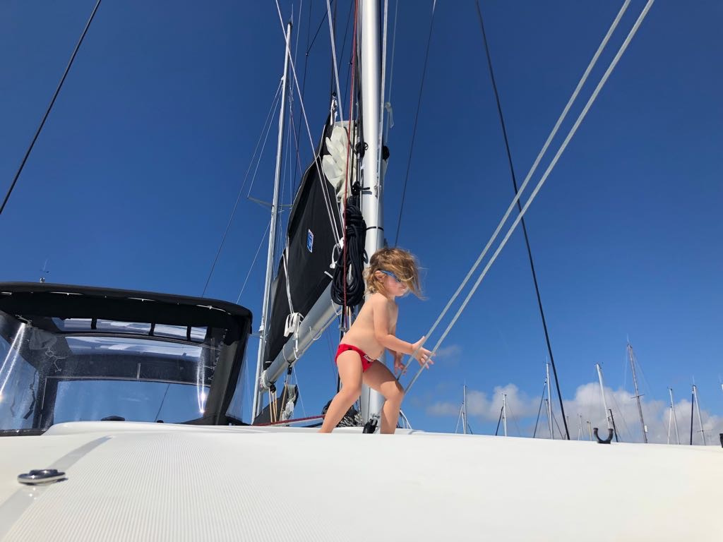 Discover the Beauty of Palma Bay from a Catamaran