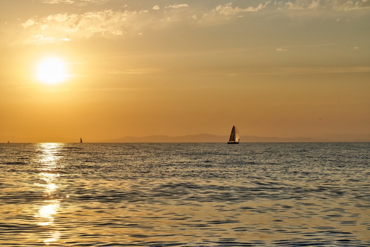 Regatta Ruta de la Sal Barcelona - Ibiza