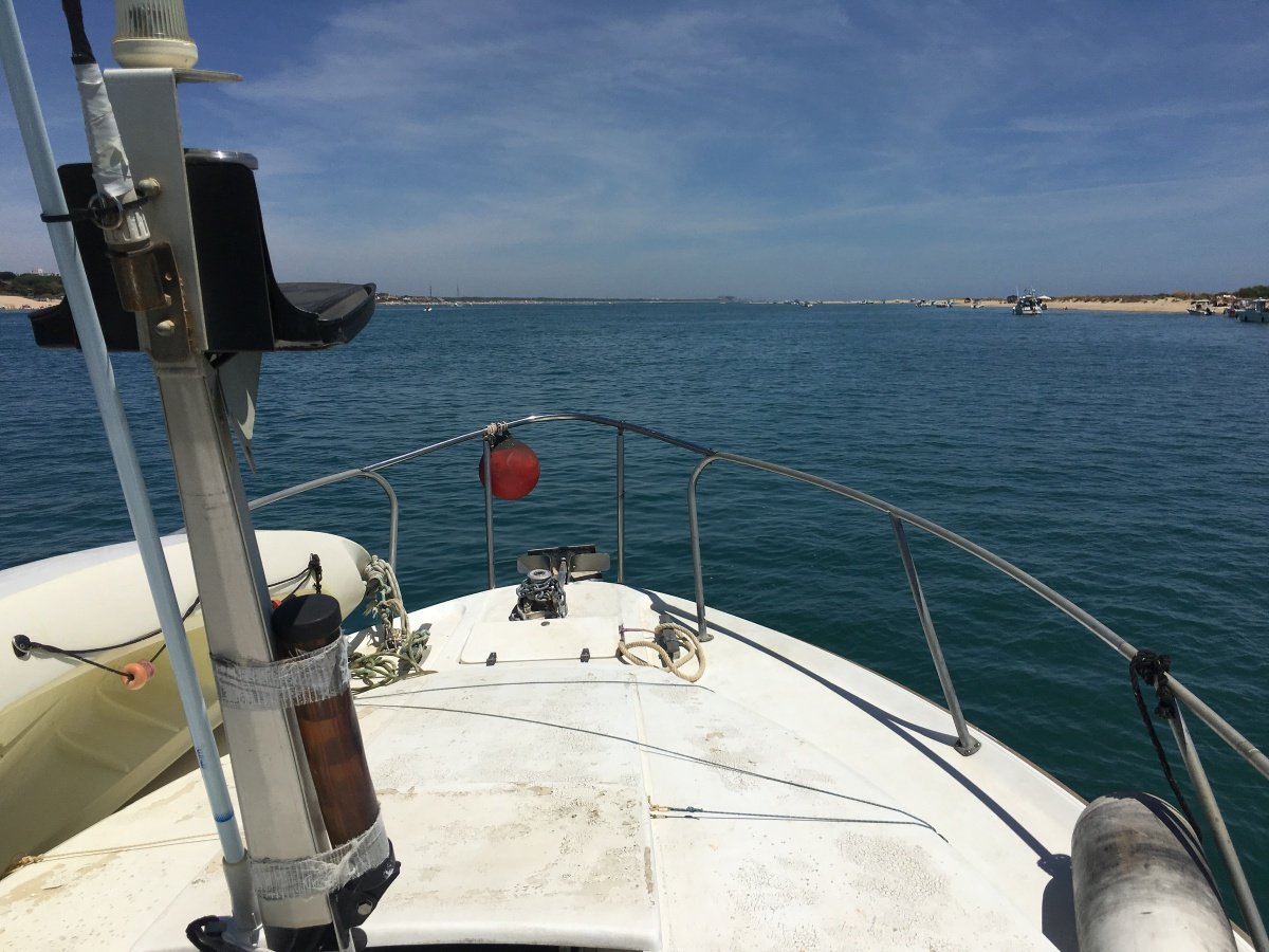 viaje en barco por el rompido 