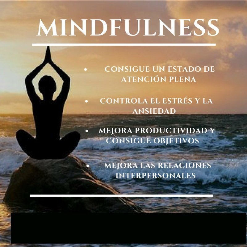 663b5586716867.17980043