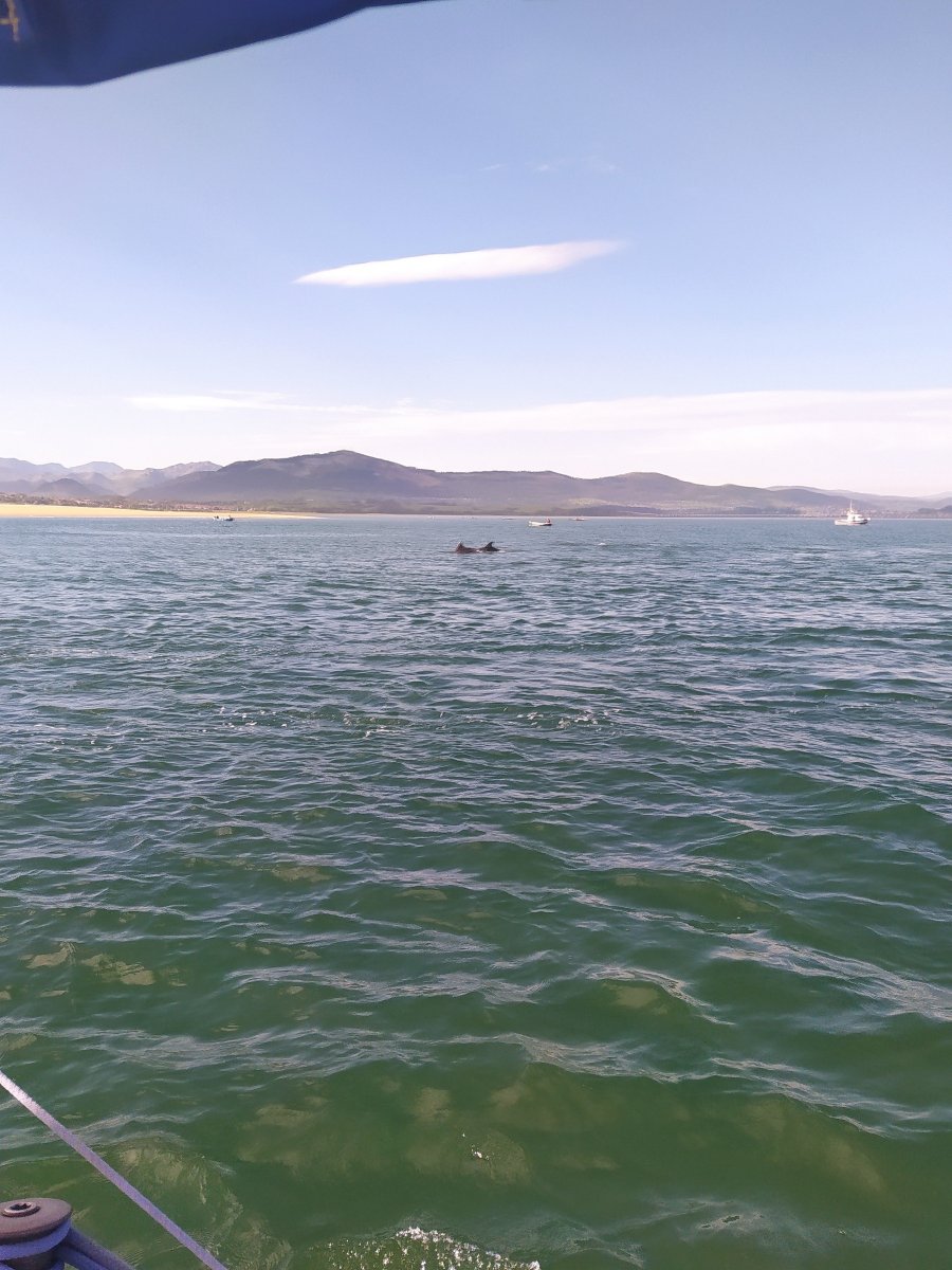 Segelkurs in Santander